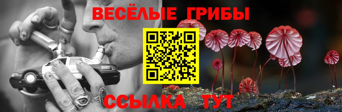Галлюциногенные грибы Psilocybe Находка